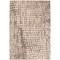 Chaudhary Living 5.25' x 7.5' Animal Printed Indoor Outdoor Area Throw Rug - Silver and Black